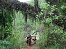 Argentina-Salta-Inca Trails near Salta